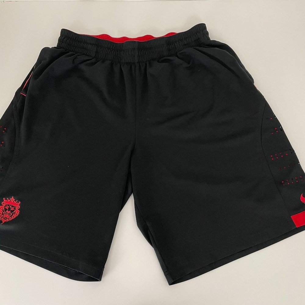 Nike Men's LeBron James Basketball shorts Black XL
